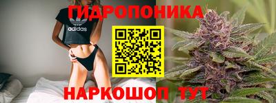 стаф Ипатово