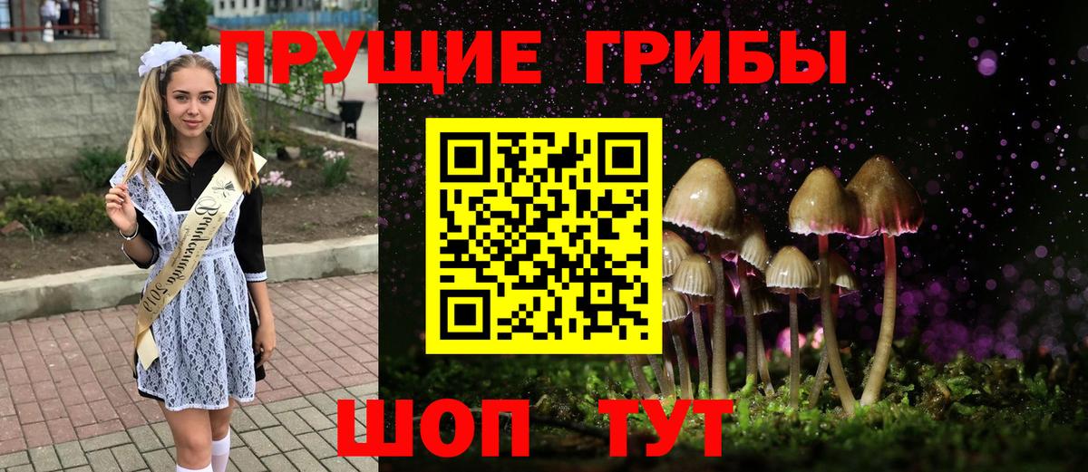 Псилоцибиновые грибы Cubensis Дзержинский